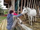 63.jpg