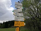75.jpg