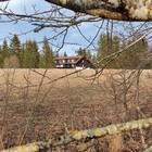 119.jpg