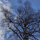 59.jpg