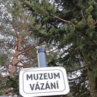 76.jpg
