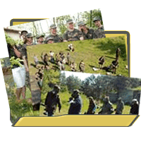 folder_icon